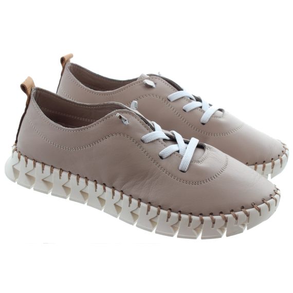 LUNAR Ladies St Austell Elastic Lace Shoes In Taupe 